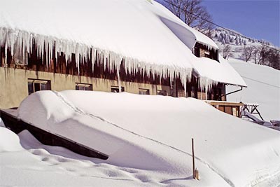 Tiefster Winter auf dem Harzlochhof